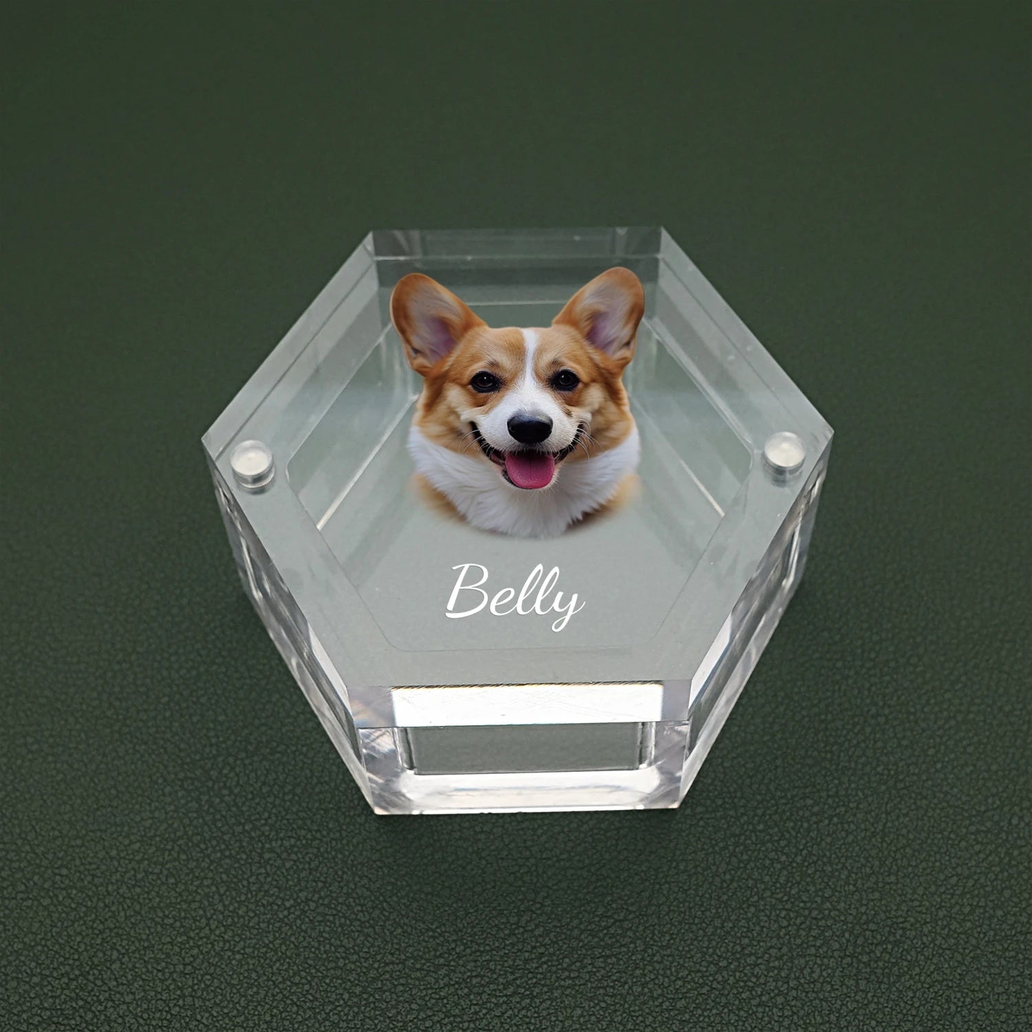 Personalized Pet Memorial Box Pet Fur Box with Photo Keepsake Box for Dogs and Cats Memorial Gift for Pet Lover - Pettributemarkers - 