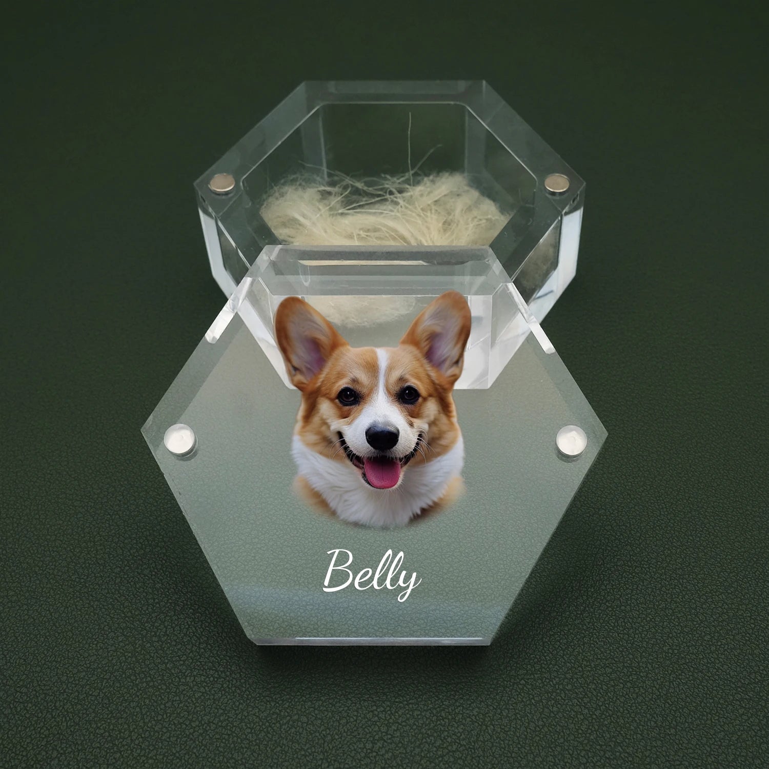 Personalized Pet Memorial Box Pet Fur Box with Photo Keepsake Box for Dogs and Cats Memorial Gift for Pet Lover - Pettributemarkers - 